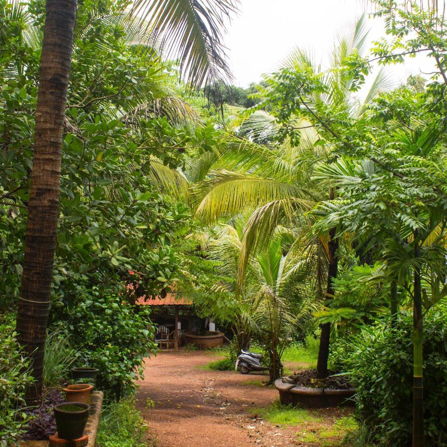 Kaza A Le Pearl Resort Anjuna Exteriör bild